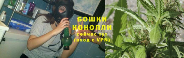 mdpv Белокуриха